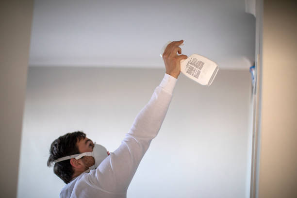 Best Mold Remediation Services  in Sherwood, WI